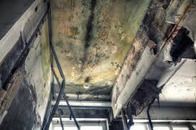 Best Environmental Consulting for Mold Prevention  in Midland, NC